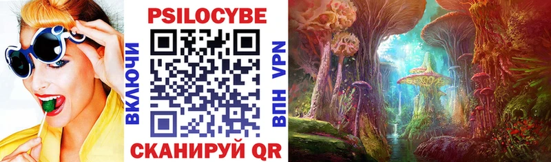 купить наркоту Сибай Псилоцибиновые грибы мухоморы